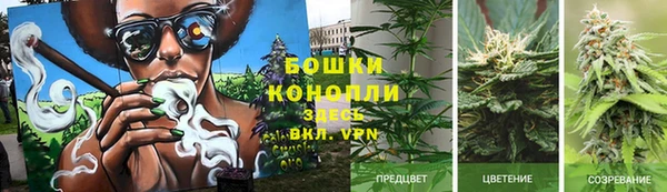 mix Горнозаводск